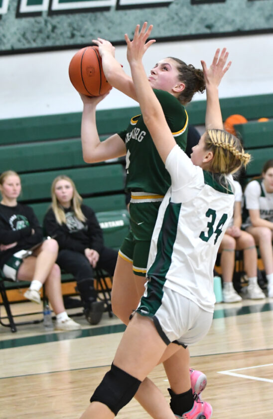 Anstadt, Snyder help Hughesville girls defeat Lewisburg at home
